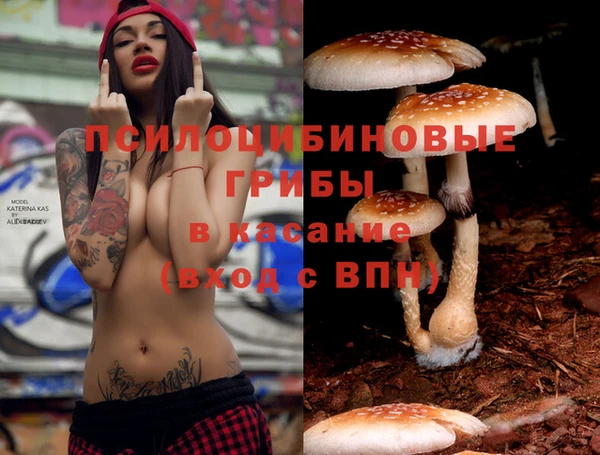 дживик Армянск