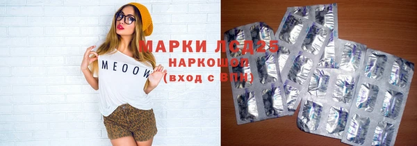 спайс Арсеньев