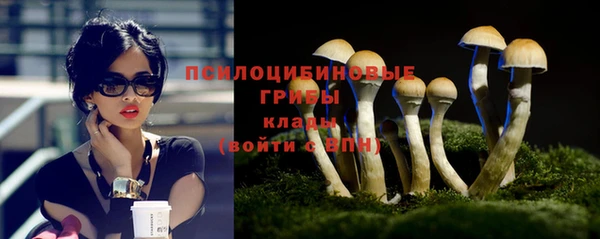 ешки Алексин