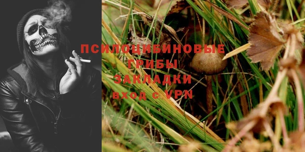 крисы Алзамай