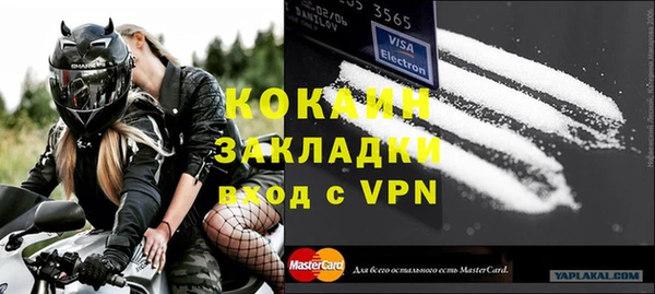 крисы Алзамай