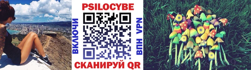 где купить наркотик  Ленинск-Кузнецкий  Псилоцибиновые грибы Cubensis 
